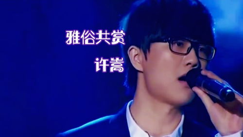 雅俗共赏许嵩