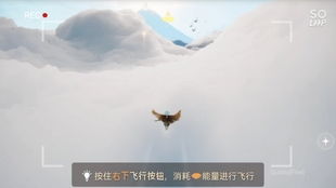 光遇安卓系统会被禁言吗,小心被禁言！